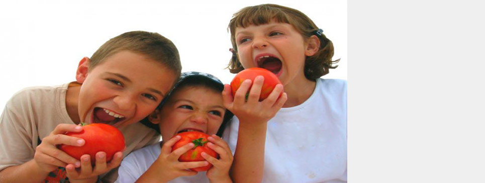 Esquemas de Alimentación